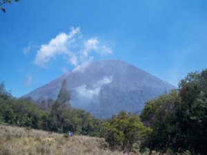 gunung semeru